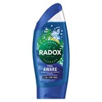 Radox Mineral Therapy 2-in-1 Shower Gel & Shampoo Feel Awake 250 ml 