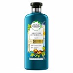 Herbal Essences Bio:Renew Repair Hair Conditioner Argan Oil 400ml