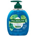 Palmolive Hygiene Plus Fresh Eucalyptus Handwash 300ml
