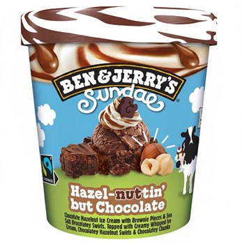 Ben & Jerry's  Ice Cream Hazel-nuttin' but Chocolate Sundae 427 ML 