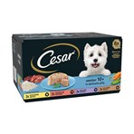 CESAR® Senior Wet Dog Food Trays Meat in Delicate Jelly 8 x 150g