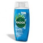 Radox Mineral Therapy Shower Gel Feel Active 225 ml 
