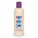 Aussie Miracle Moist Shampoo 300ml. Moisture-Quenching Formula to Revive Dry Hair