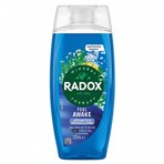 Radox Mineral Therapy 2-in-1 Shower Gel & Shampoo Feel Awake 225 ml 