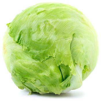 Iceberg Lettuce Each