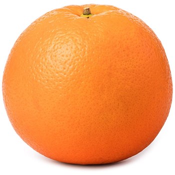 Individual Orange Each