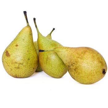 Conference Pears Pack 600g