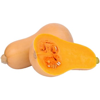 Butternut Squash Each