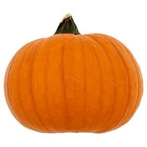Medium Pumpkin Each