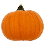 Medium Pumpkin Each
