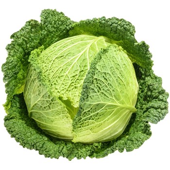 Savoy Cabbage Each